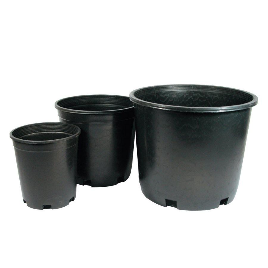 Pots + Containers