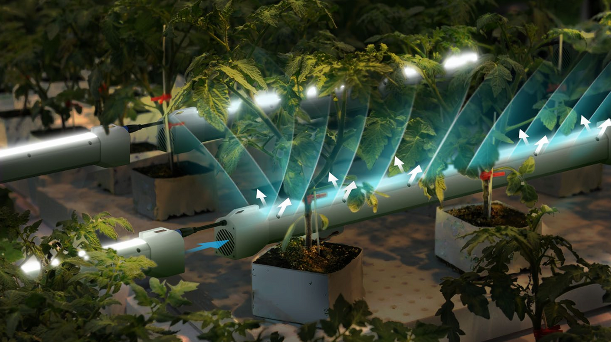LED Grow Lights