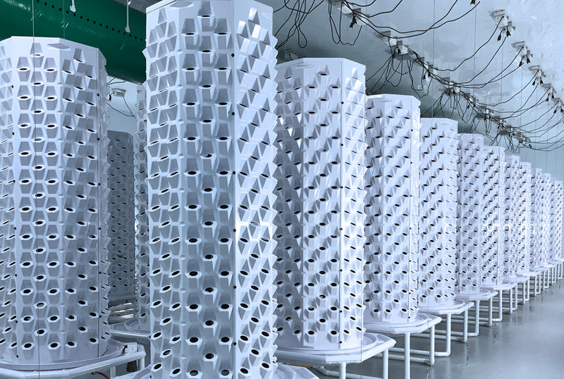 Aeroponic Tower Gardens