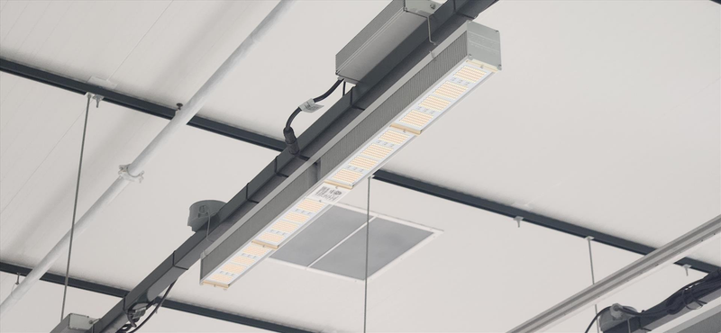 Fluence VYPRx Plus 600w LED grow light (975pc)