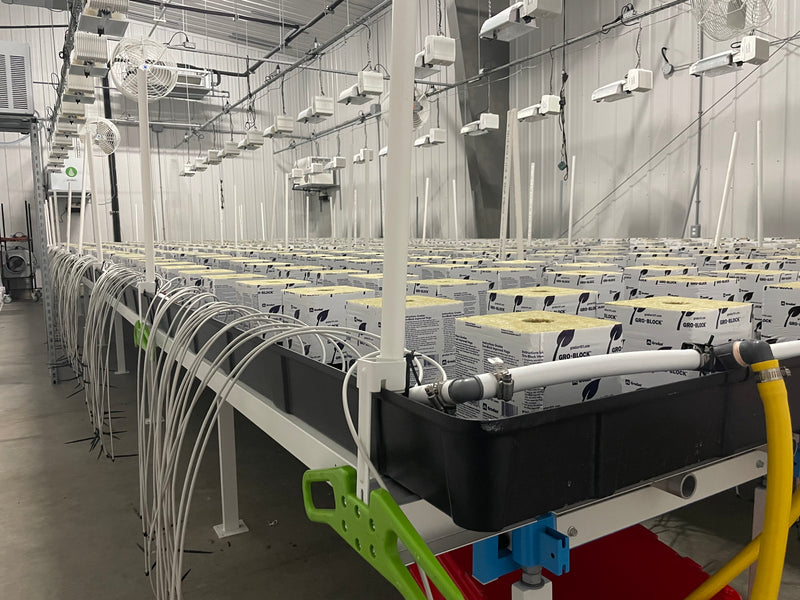 5' x 40' Benches Botanicare