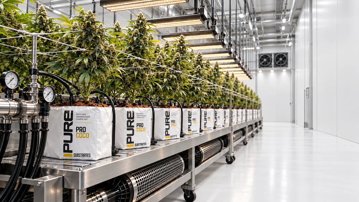 Cannabis cultivation facility using the Pure Products cultivation platform